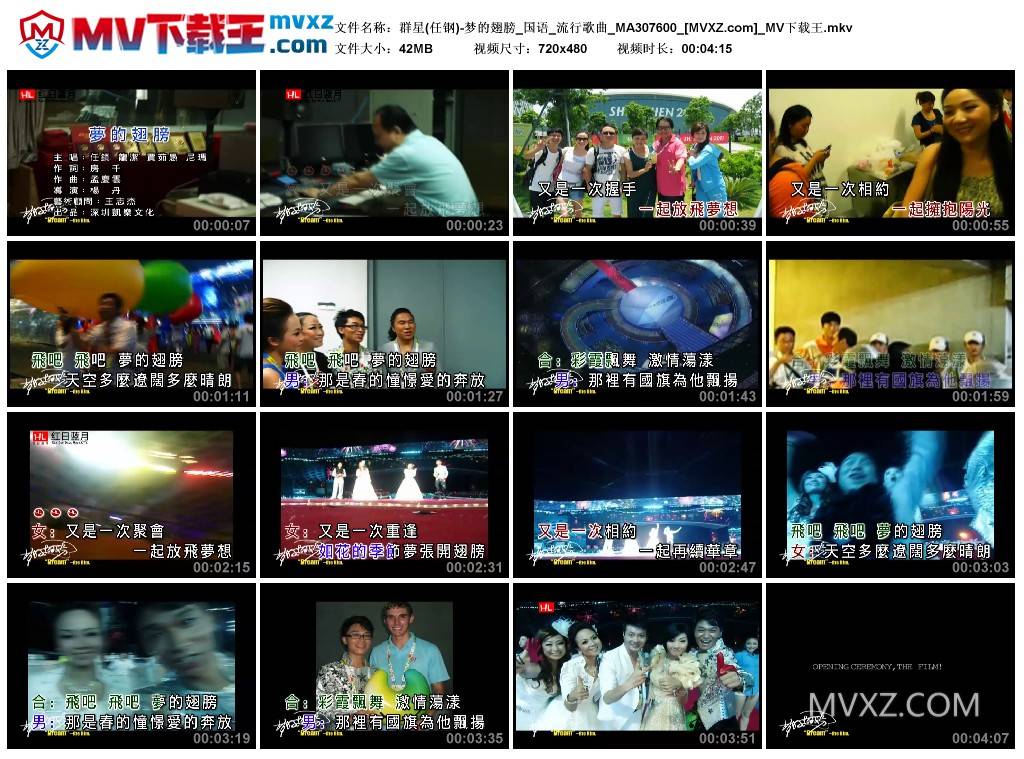 群星(任钢)-梦的翅膀_国语_流行歌曲_MA307600